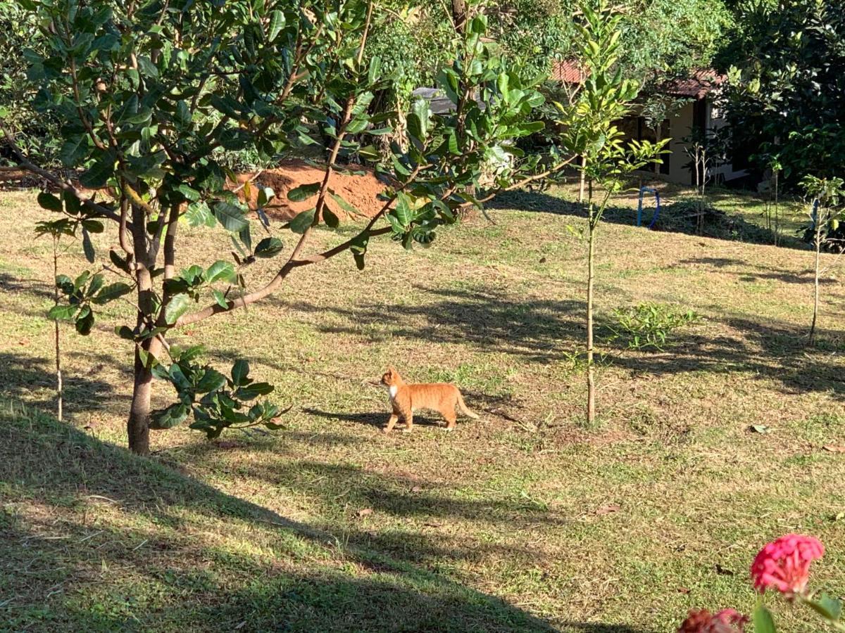Campson Heaven Resort Khao Kho Luaran gambar