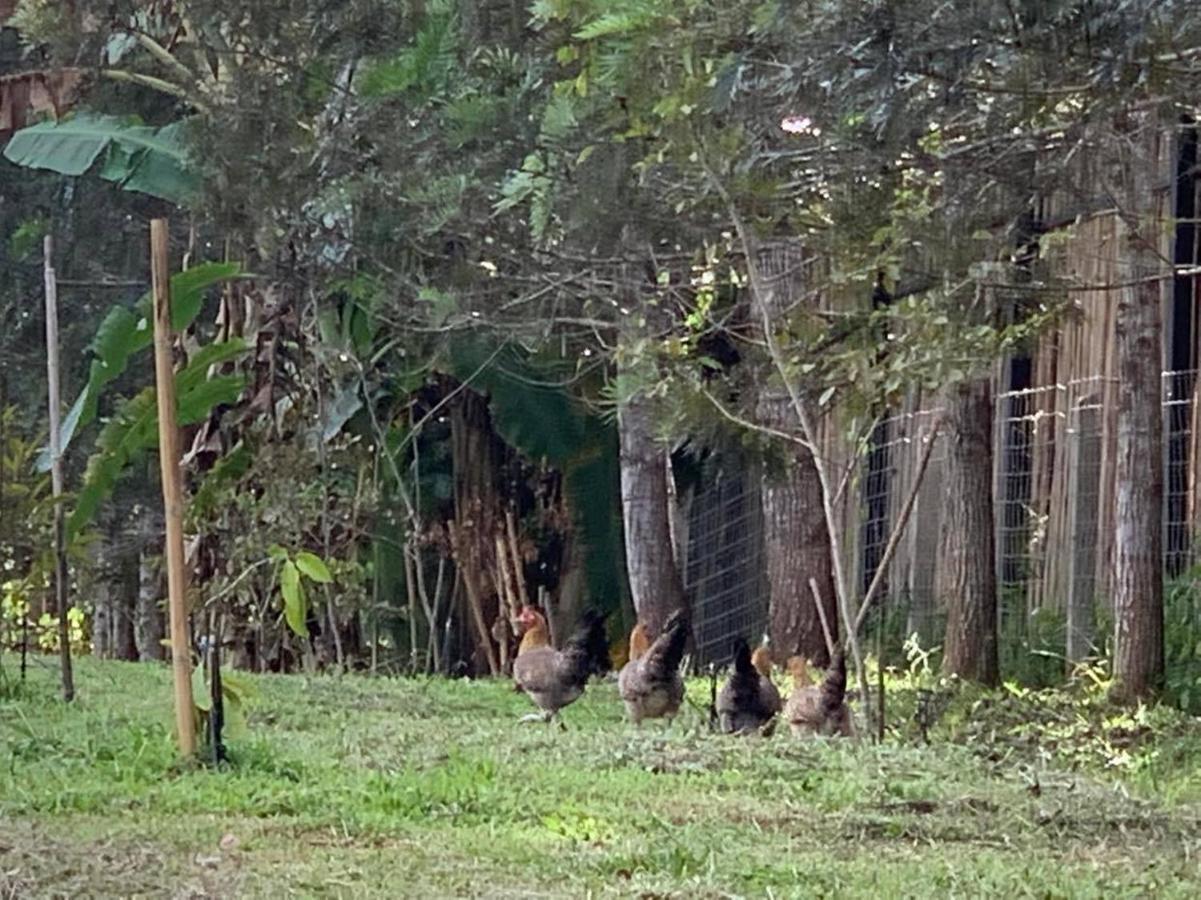 Campson Heaven Resort Khao Kho Luaran gambar