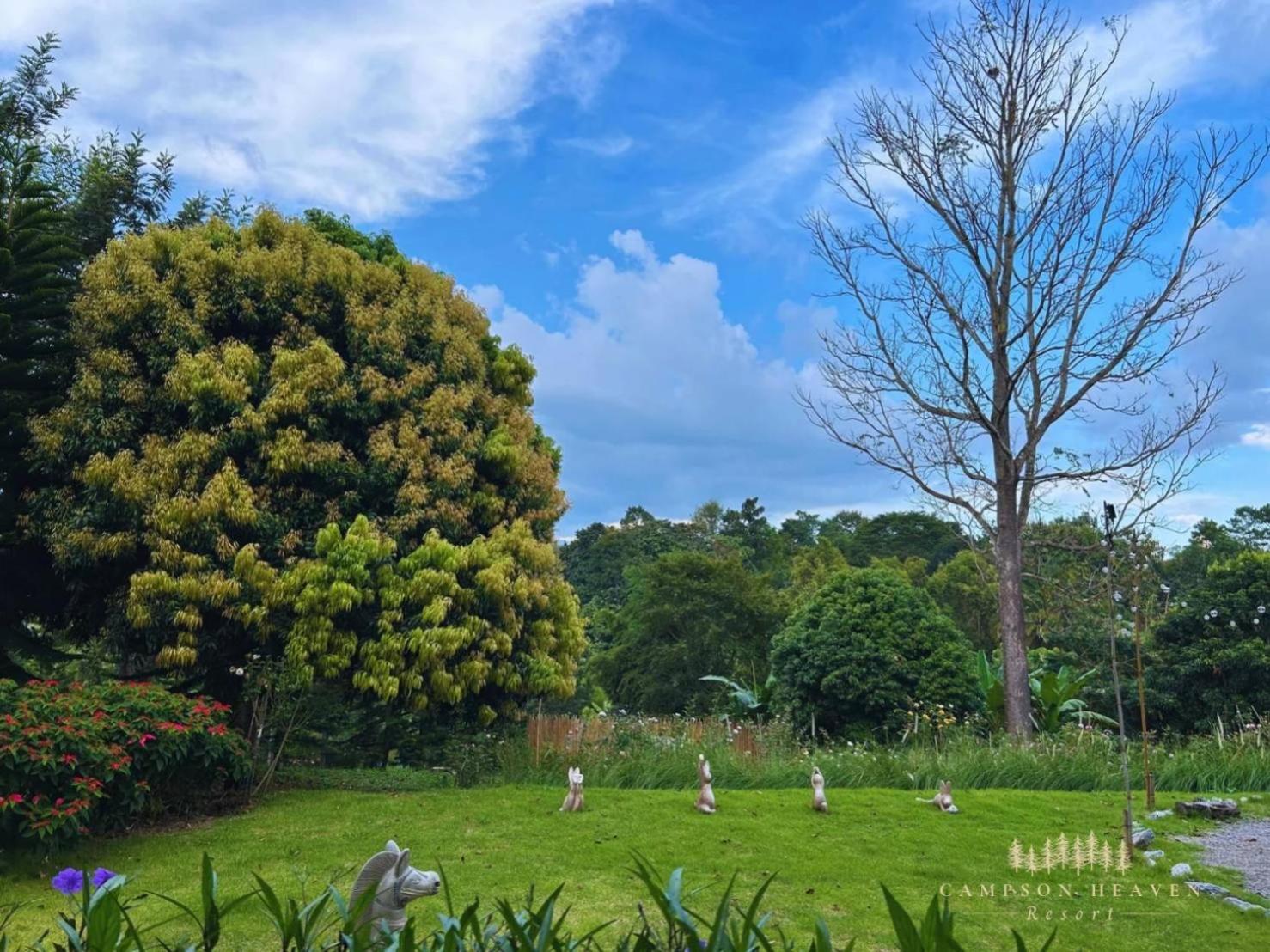 Campson Heaven Resort Khao Kho Luaran gambar