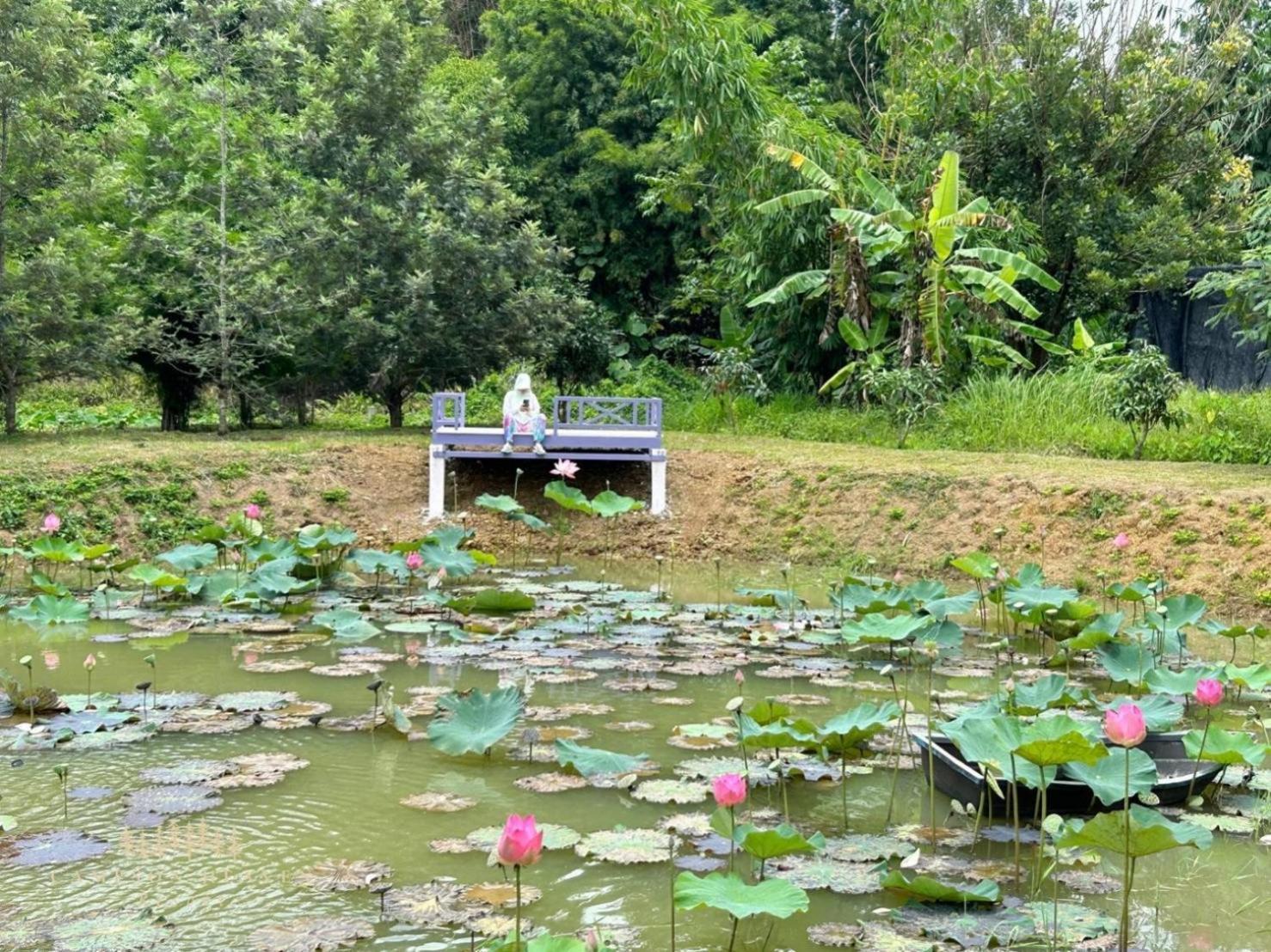 Campson Heaven Resort Khao Kho Luaran gambar